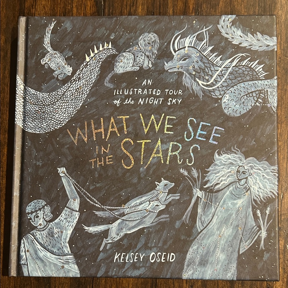 What We See in the Stars Book (BRAND NEW)